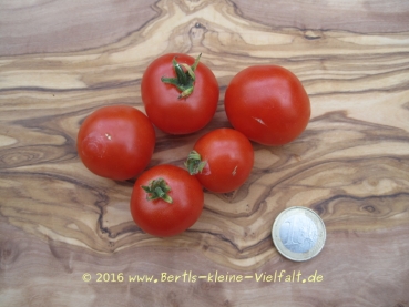 Tomate 'Balconi Red' - Saatgut