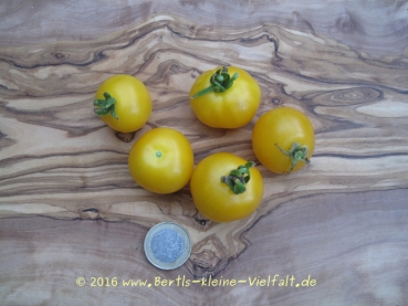 Tomate 'Balconi Yellow' - Saatgut